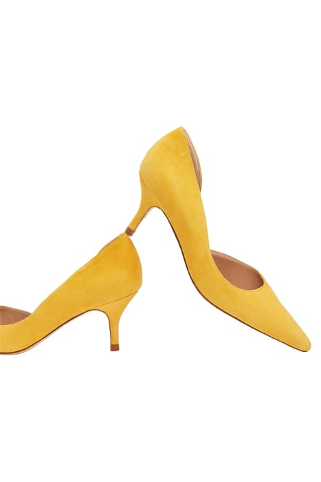 HAZEL PUMP SUNFLOWER 4