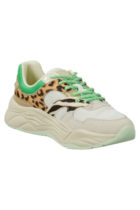 CELEST SNEAKER GREEN ANIMAL PRINT 2