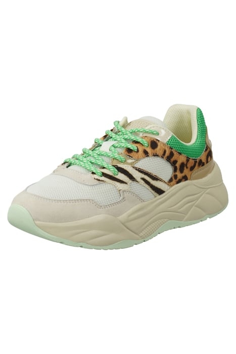 CELEST SNEAKER GREEN ANIMAL PRINT 7