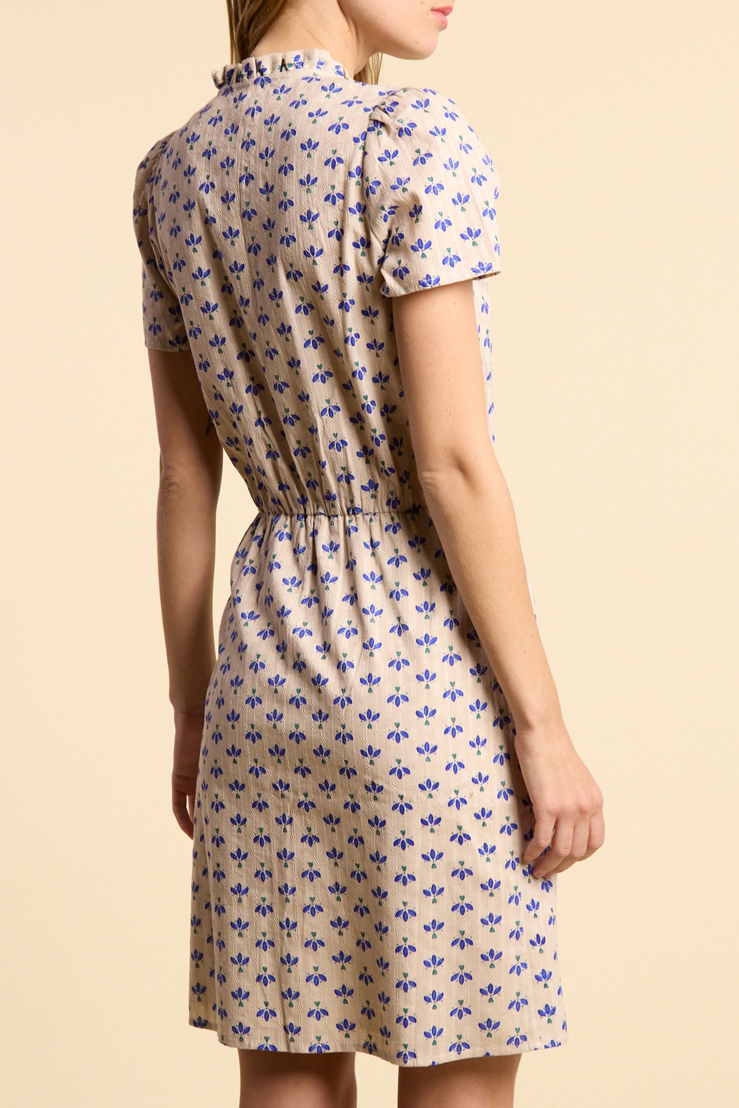 OFF-WHITE DRESS WITH BLUE PETAL PRINT 2