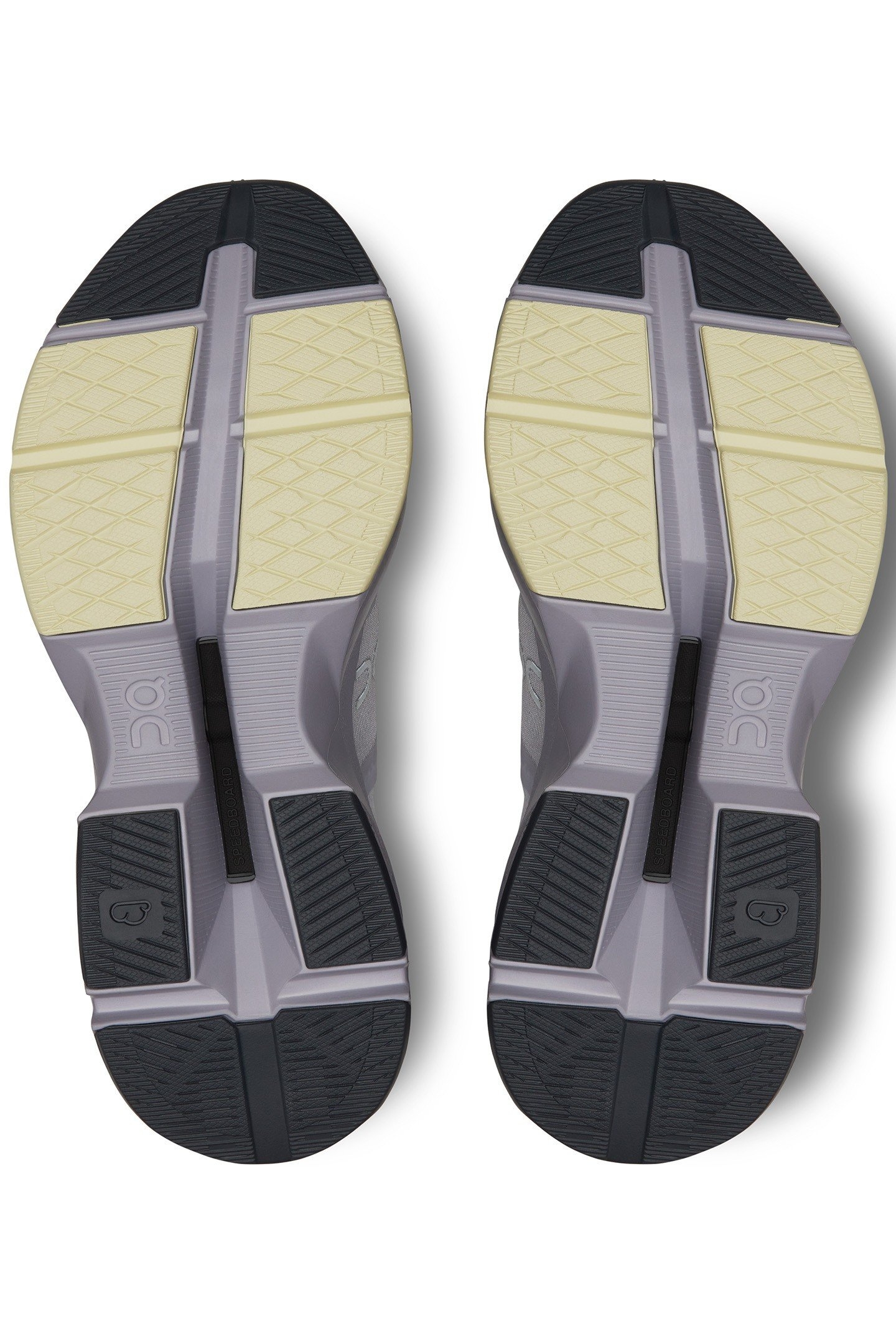 CLOUDPULSE 1 LAVENDER SEEDLING 5