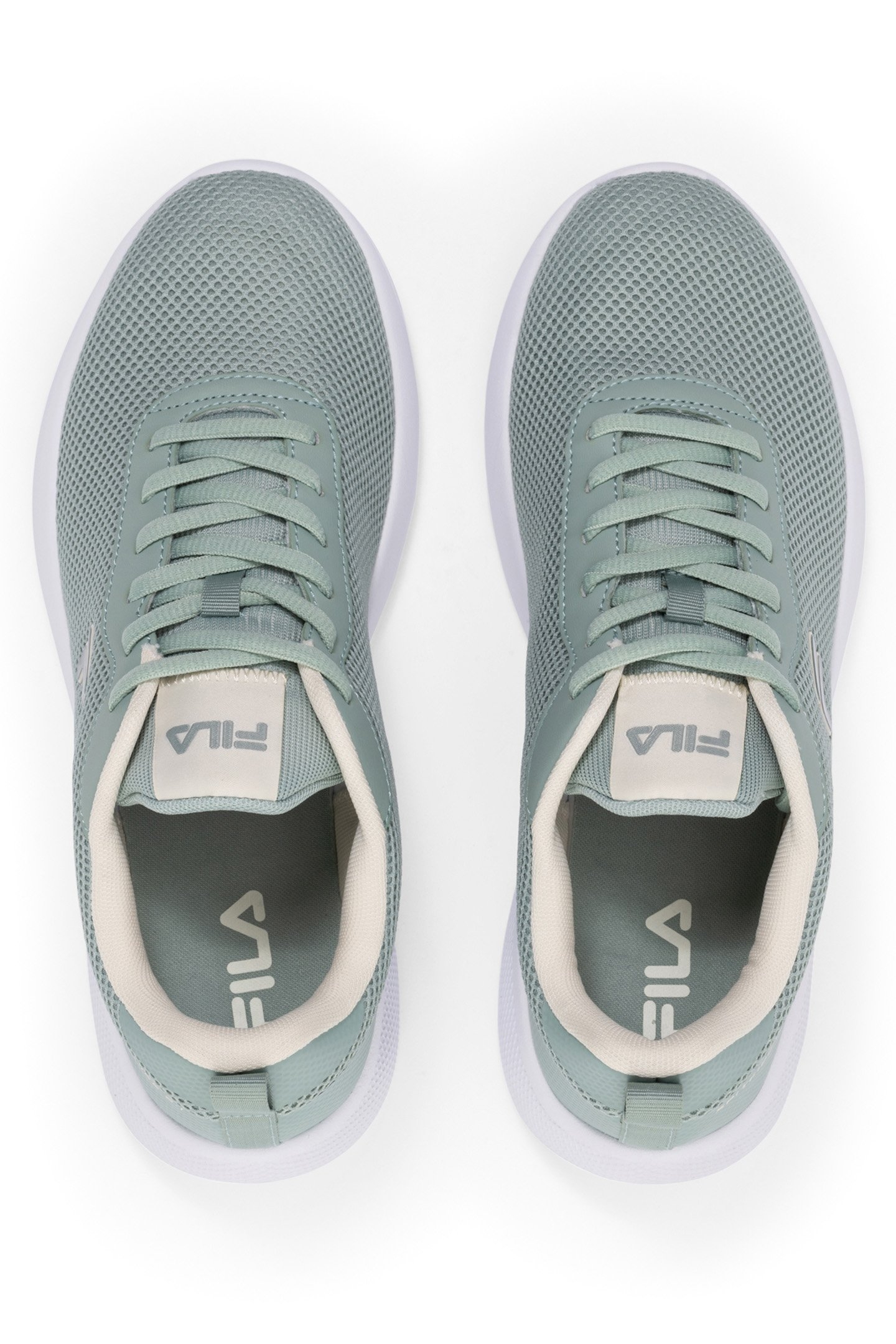 SPITFIRE WMN JADEITE-TURTLEDOVE 3