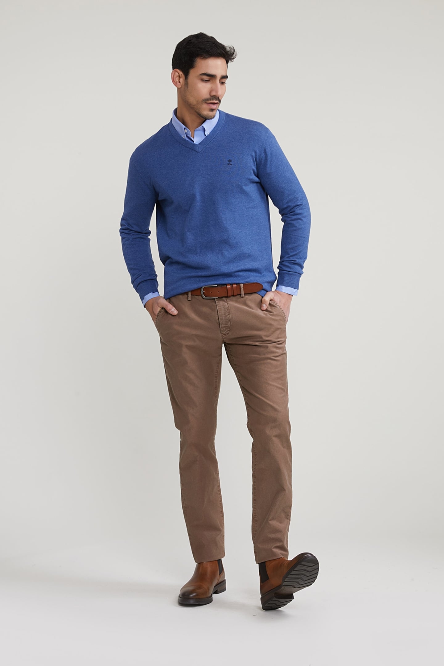 NORMAL FIT BASIC COTTON V-NECK SWEATER WAGON BLUE MIX 3