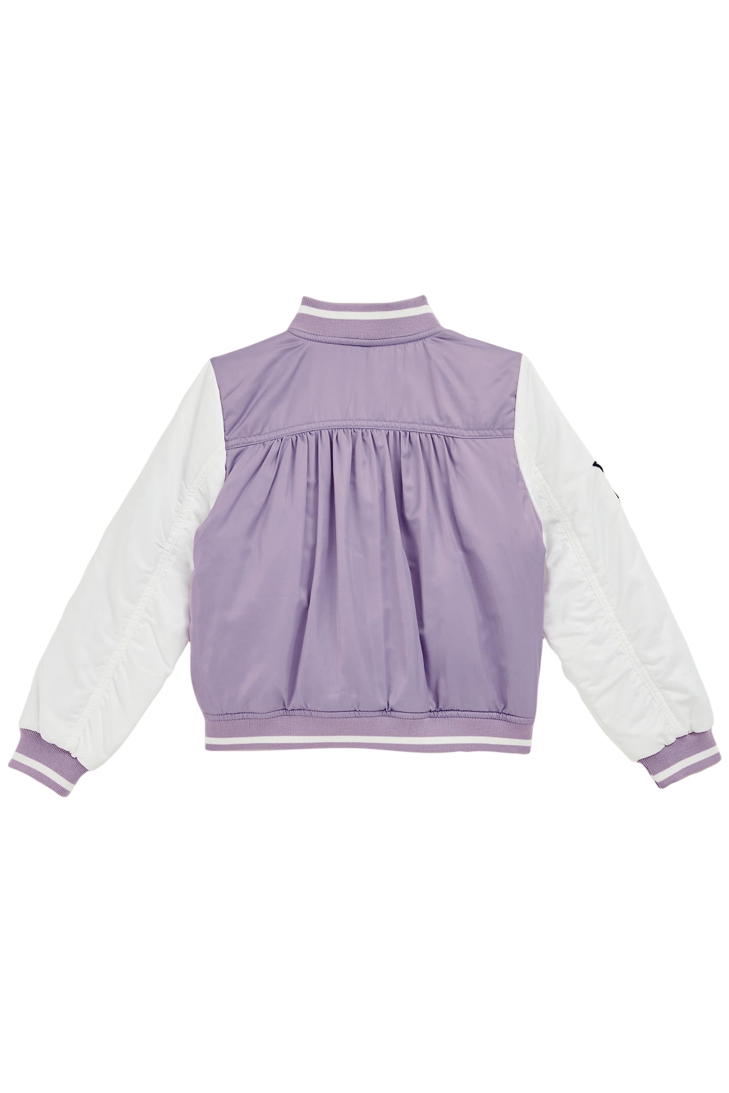 BOMBER LILAC 4