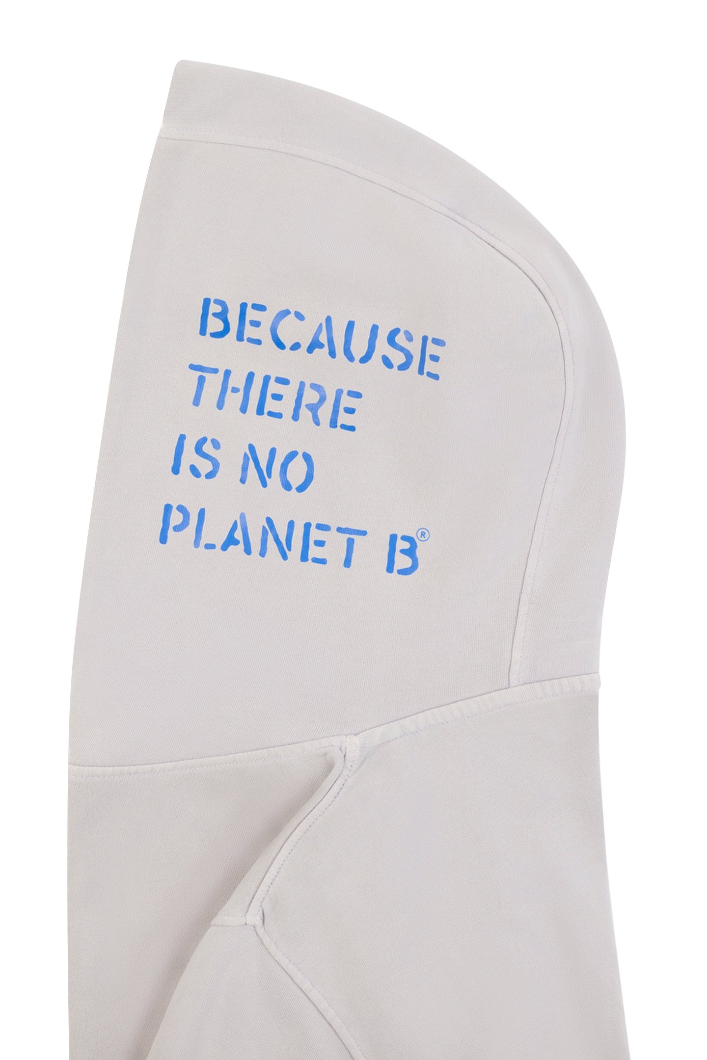 DELMARALF SWEATSHIRT ICE 3