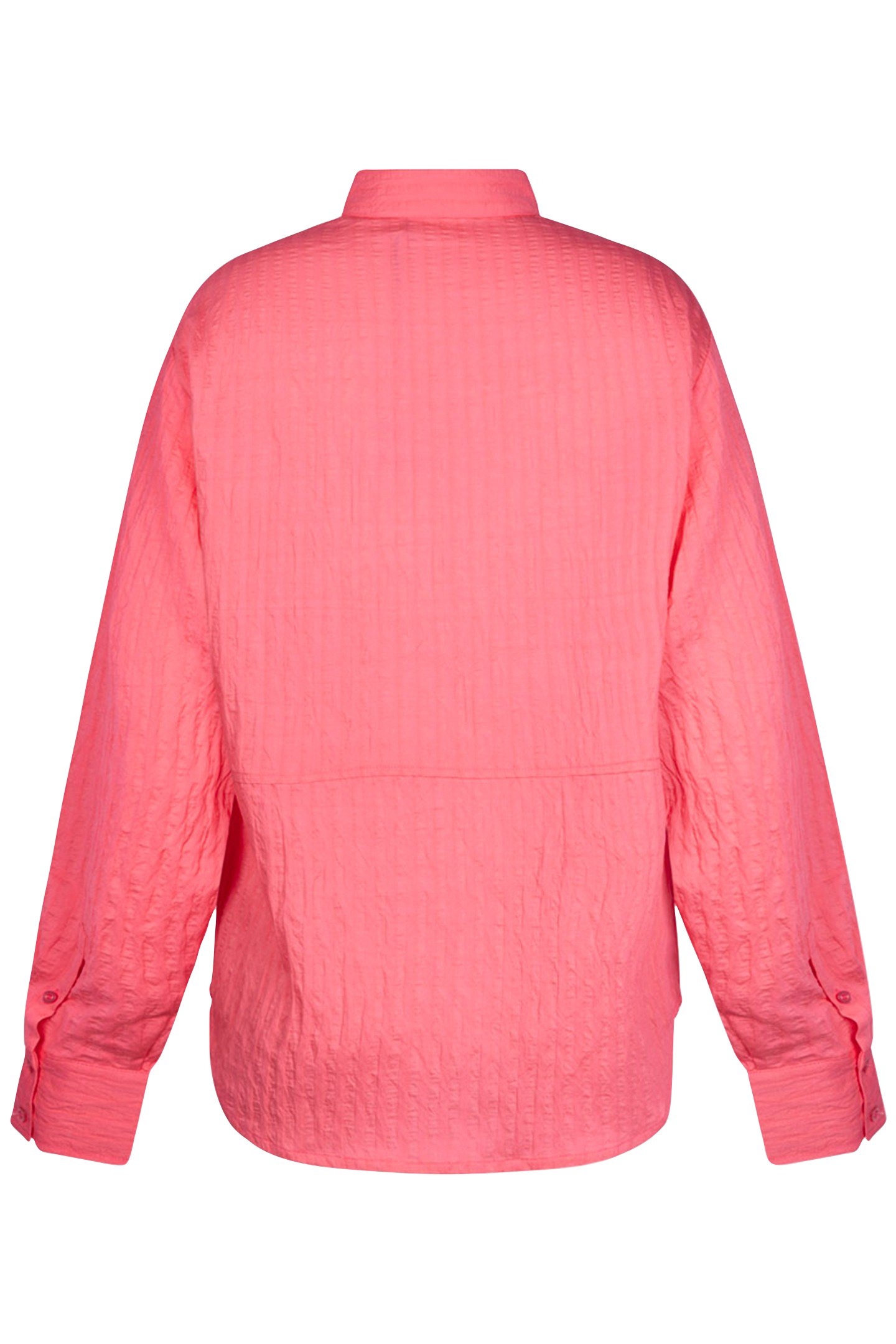 CATALINA SHIRT LONG SLEEVE CAMELIA ROSE 2