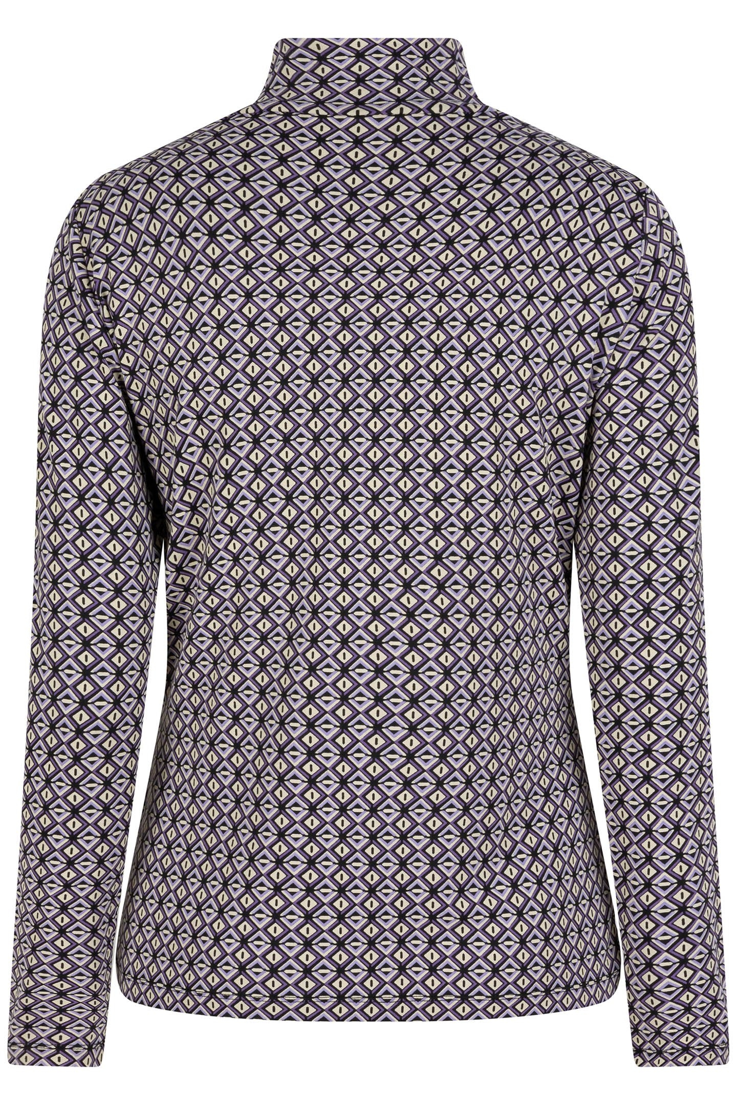 TOP TURTLE GRAPHIC EARTH PRINT 6