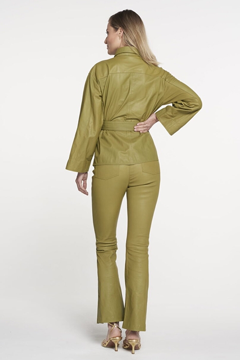 PRIMO FOREST GREEN 3