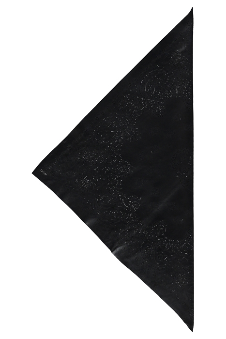 BANDY PAISLEY LEATHER NOIR 2