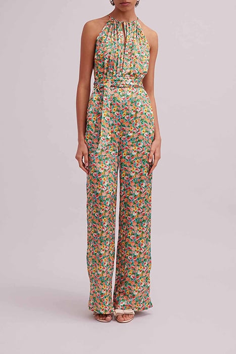 TROPEZIEN NECTARINE 1