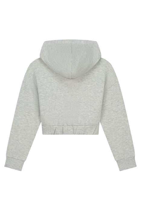 LIMITED HOODIE LIGHT GREY MELANGE 2