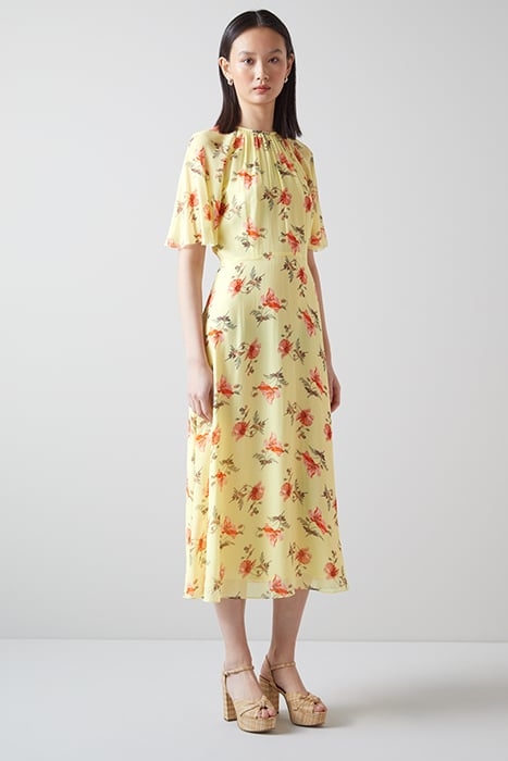 DR ELOWEN - GIANT POPPY MULTI 1