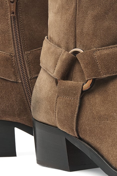 SHELLY CARTER BRUIN 7