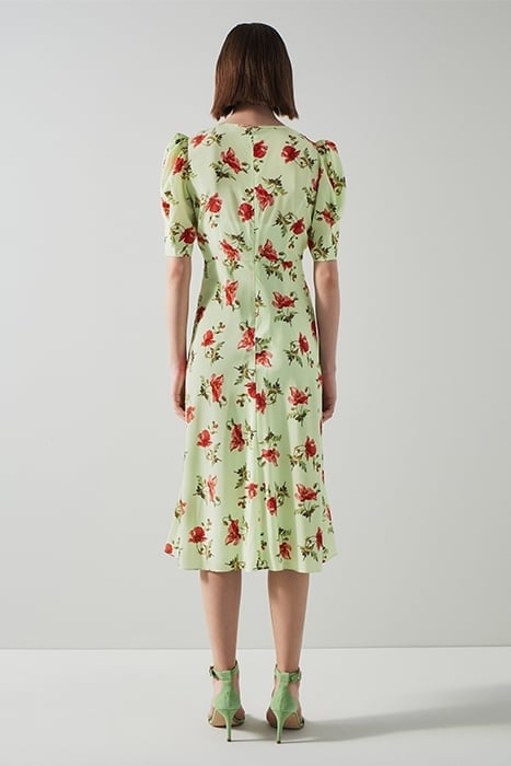 DR GABBI - GIANT POPPY GREEN 2