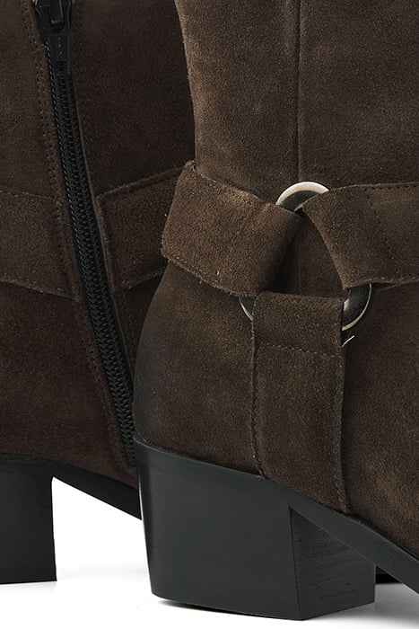 SHELLY CARTER GROEN 5