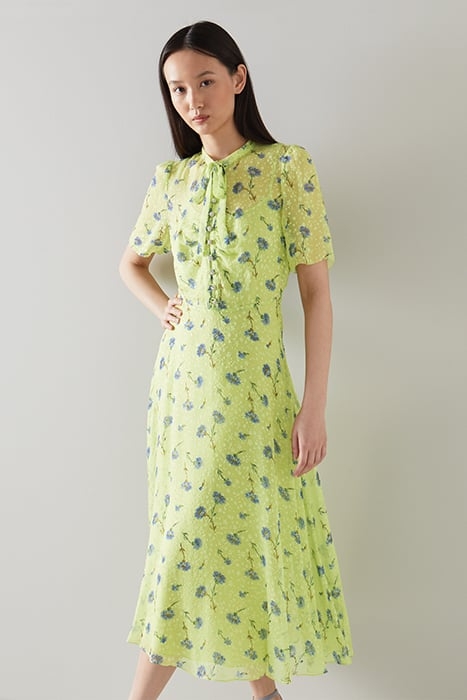 DR SINA CORNFLOWER PRINT LIME 1