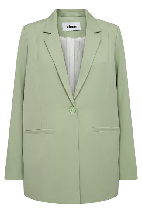 TARA 2.0 E54 BLAZER SMOKE GREEN 1