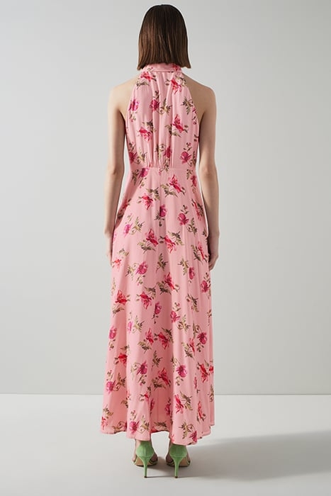 DR FLORI - GIANT POPPY PR MULTI 2