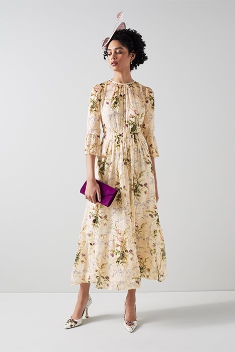 DR LOURDES - MEADOW SCENE MULTI 4