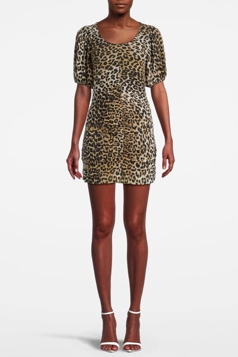 PRINTED MESH PUFF SLEEVE MINI DRESS LEOPARD SEEDPEARL 1