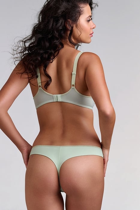 LUCKY CLOVER GREEN CLOVER GOLD 3