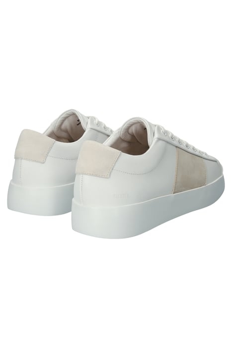 MAYNARD - BG351 WHITE BEIGE - SNEAKER (LOW) WHITE BEIGE 6