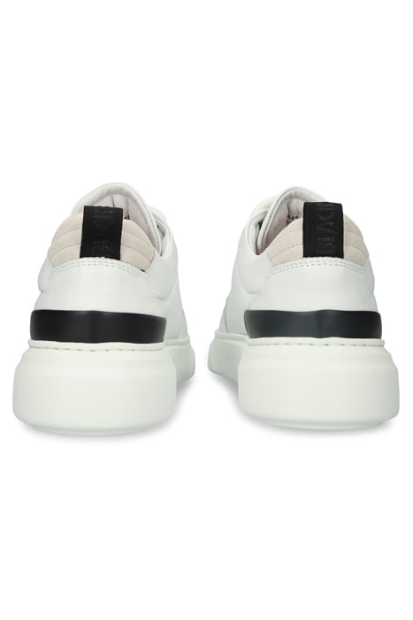 ARLET - BL485 WHITE - SNEAKER (LOW) 8