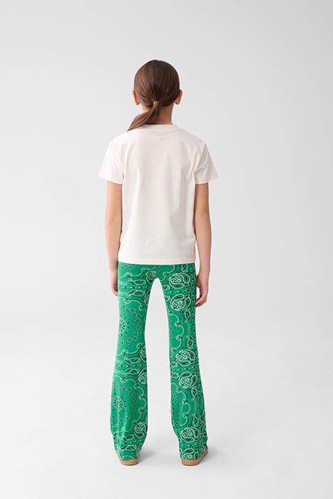 GAA-SBPAISLEY FLAIR GREEN 2