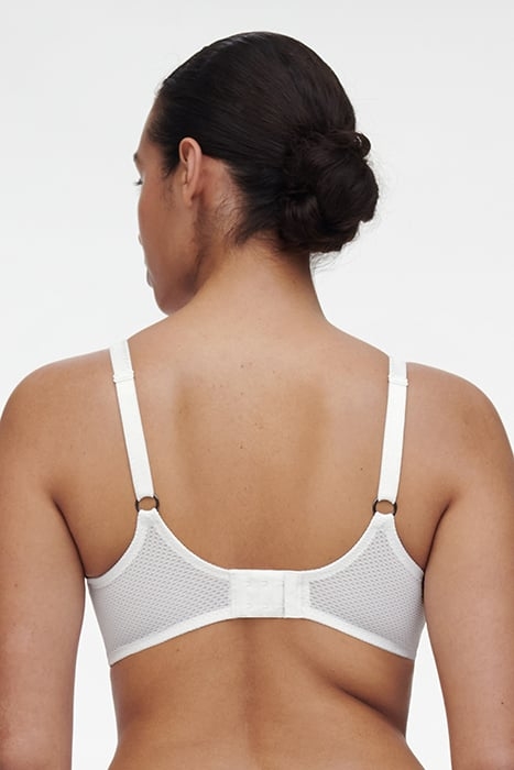 FLEURS MULTICOLORE 2