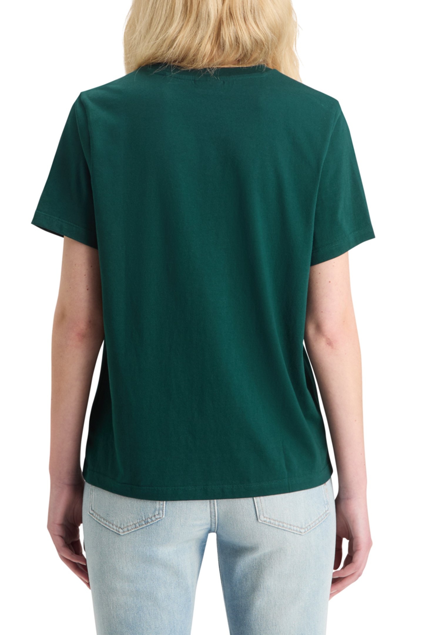 CHEST ARTWORK REGULAR FIT T-SHIRT CYPRESS GREEN 2