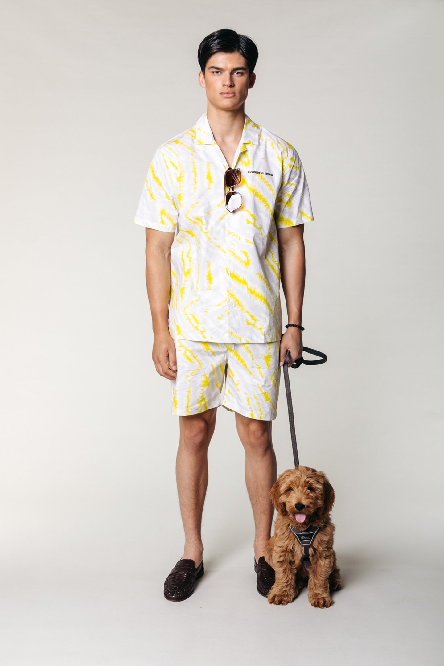 SETH ABSTRACT ZEBRA CASUAL JOGGER SHORT SOFT GREY 1