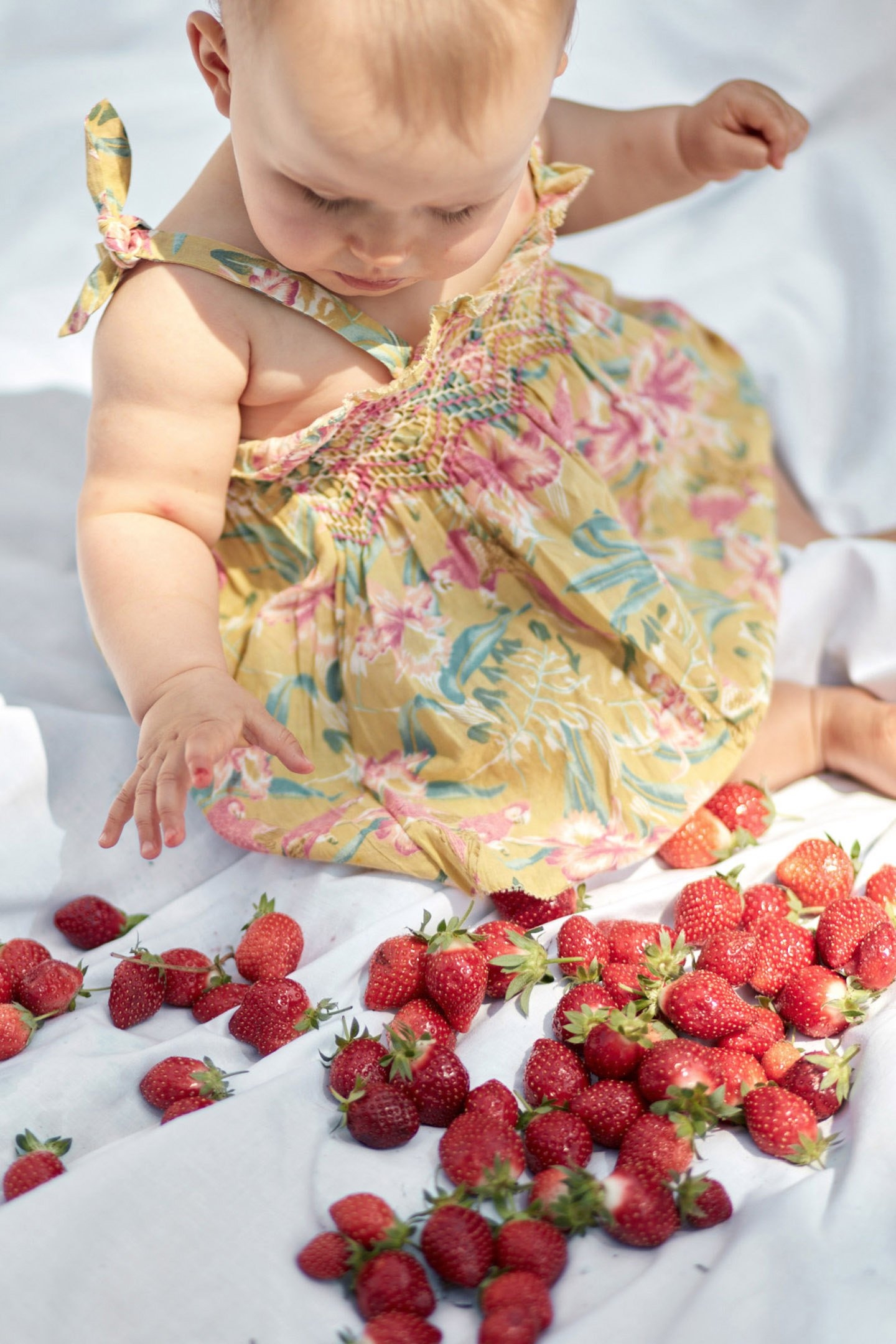 DRESS MARCELINE SOFT HONEY PARROTS 5