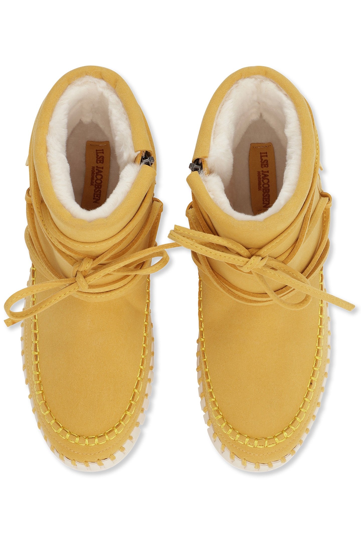 TULIP6073 GOLDEN ROD 4