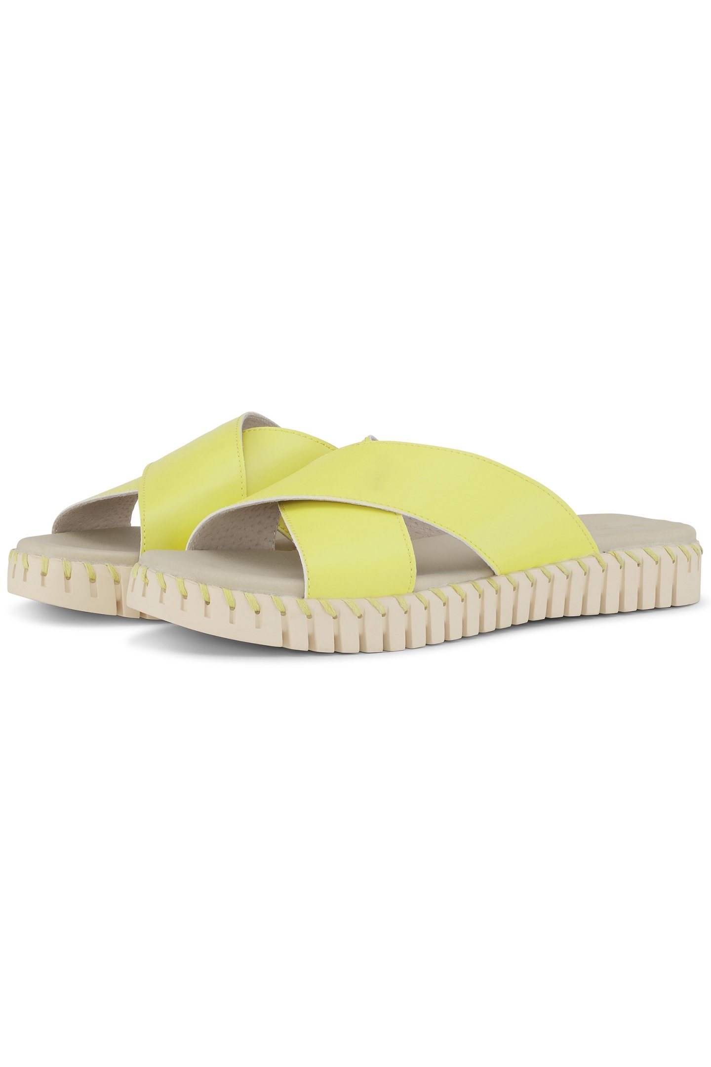 TULIP1578MN SUNBEAM 3