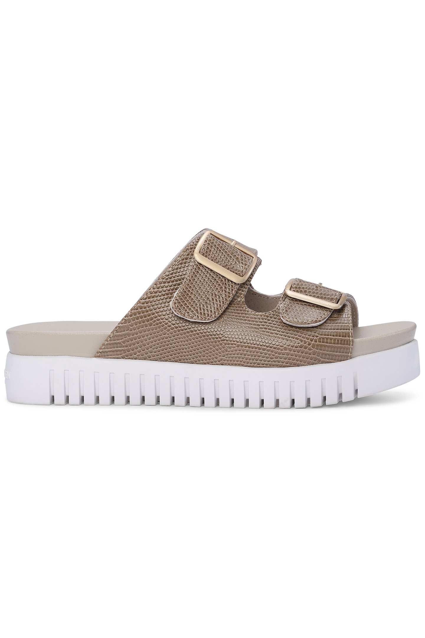 TULIP1165RE FOSSIL 1