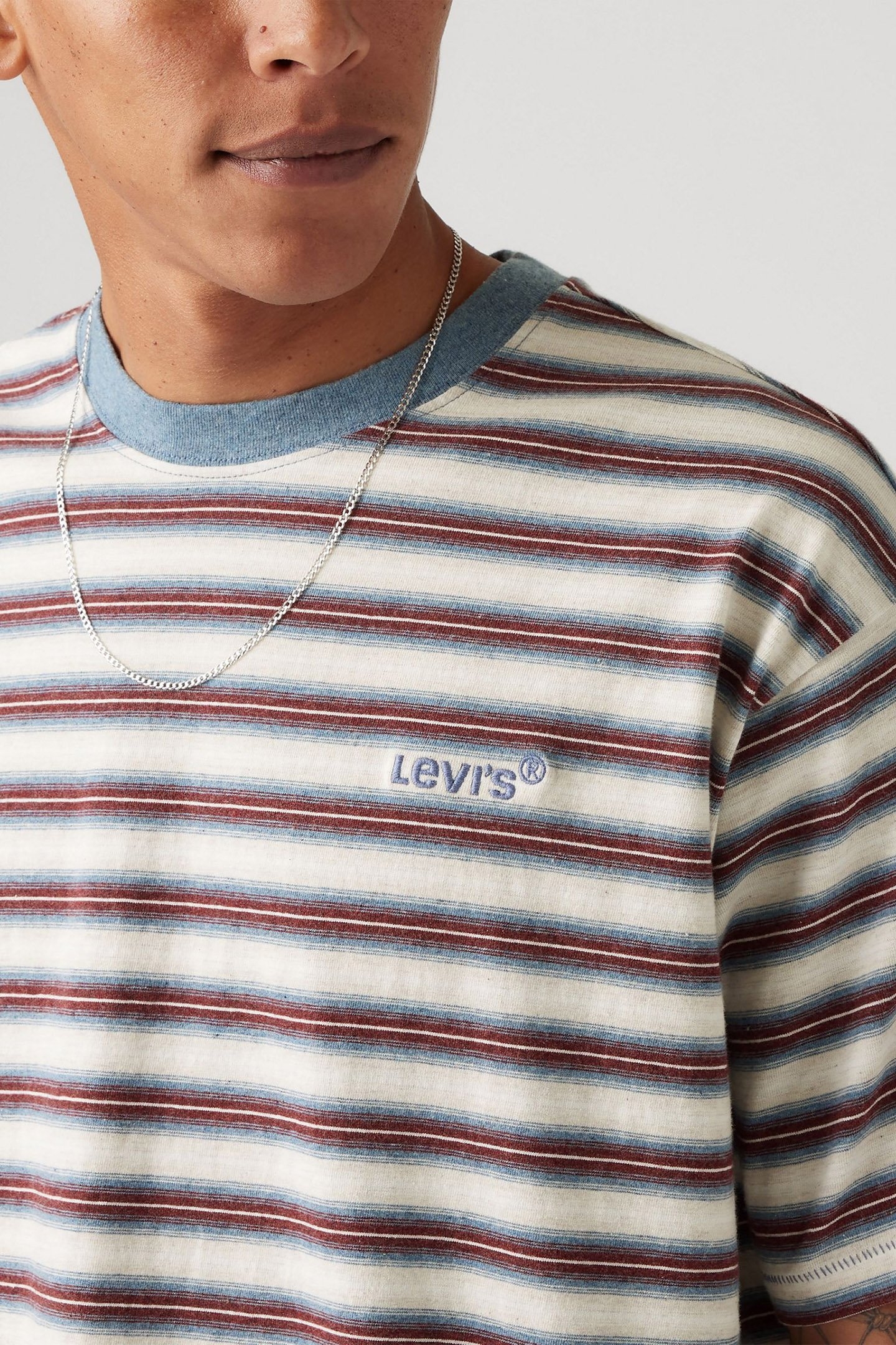 RED TAB VINTAGE TEE BREAK STRIPE PORRIDGE 5