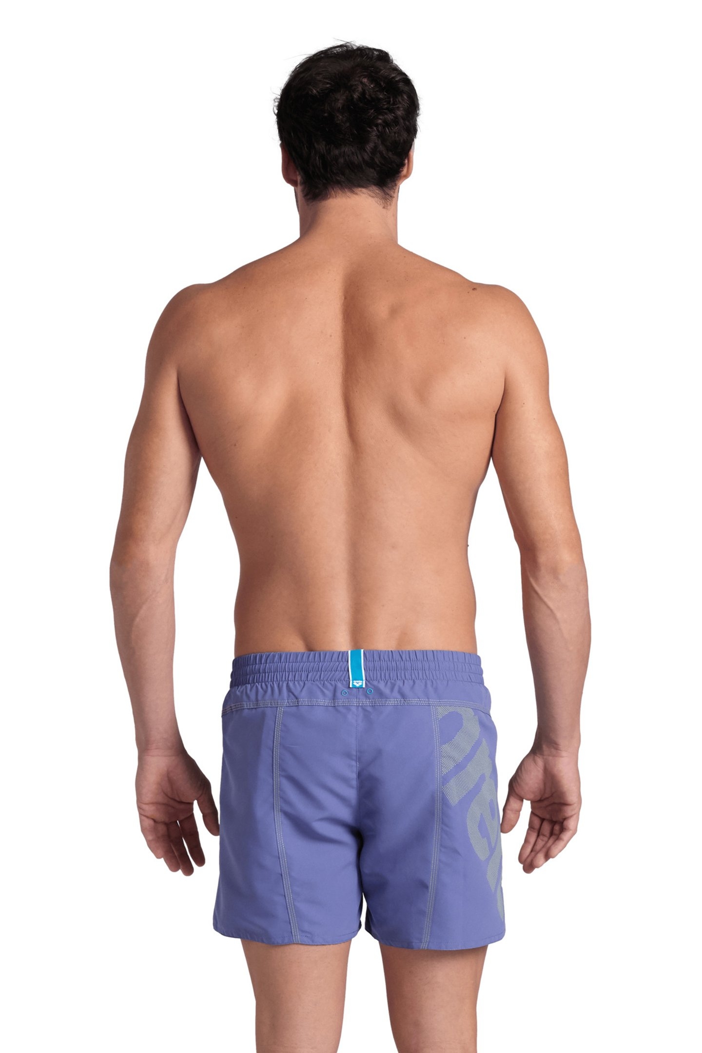MEN'S ARENA PRO_FILE BEACH SHORT LOGO PURPLE BLUE-SOFT GREEN 2