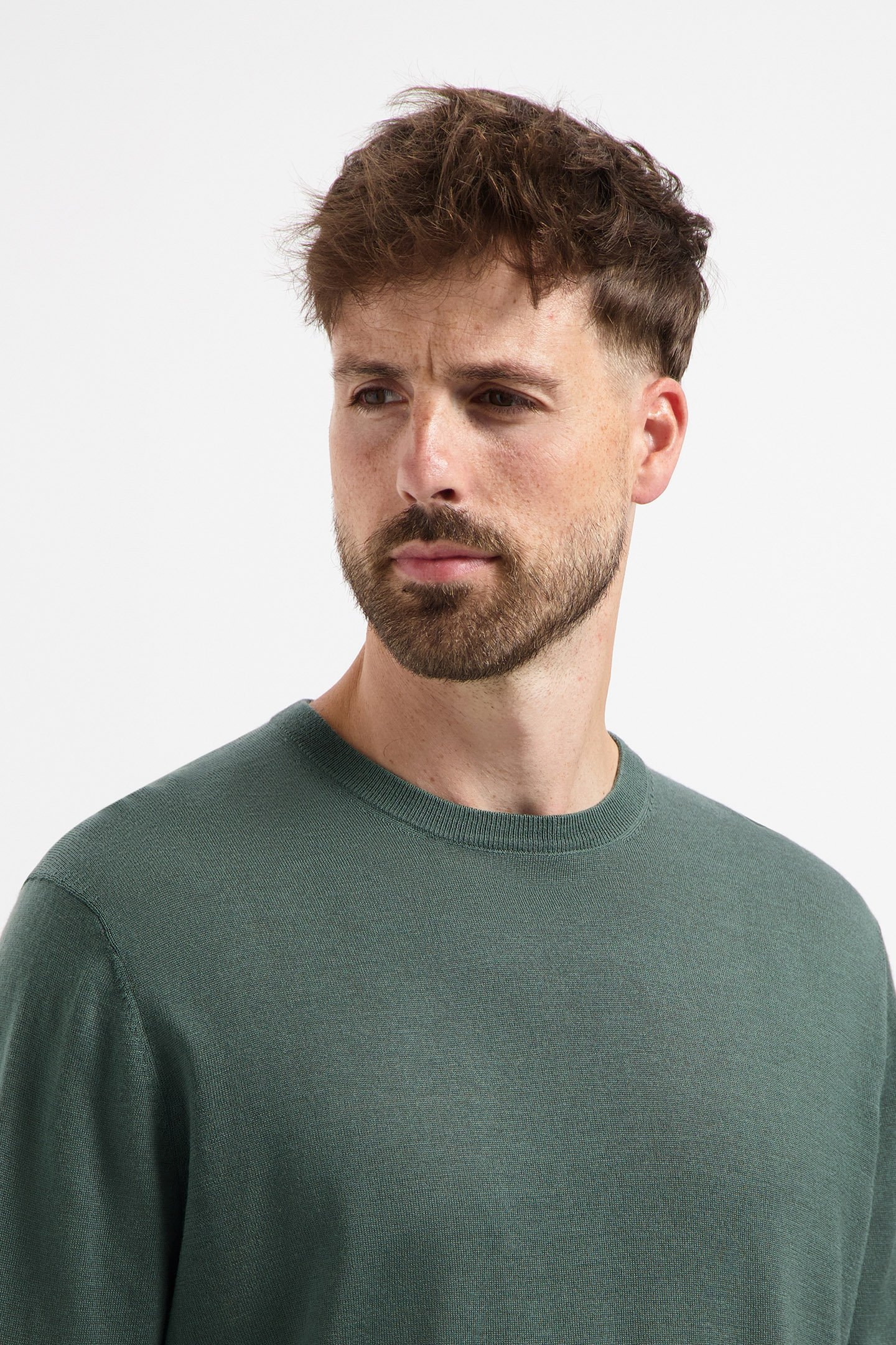 CREW NECK 100% MERINO FERNSTONE GREEN 5