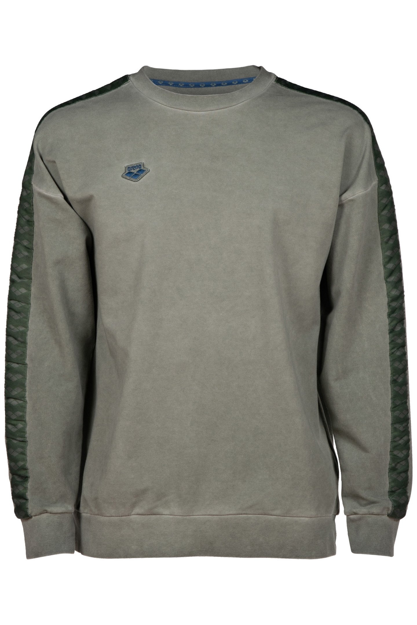 ARENA ICONS SWEAT OVERSIZE SAGE DELAVE 6