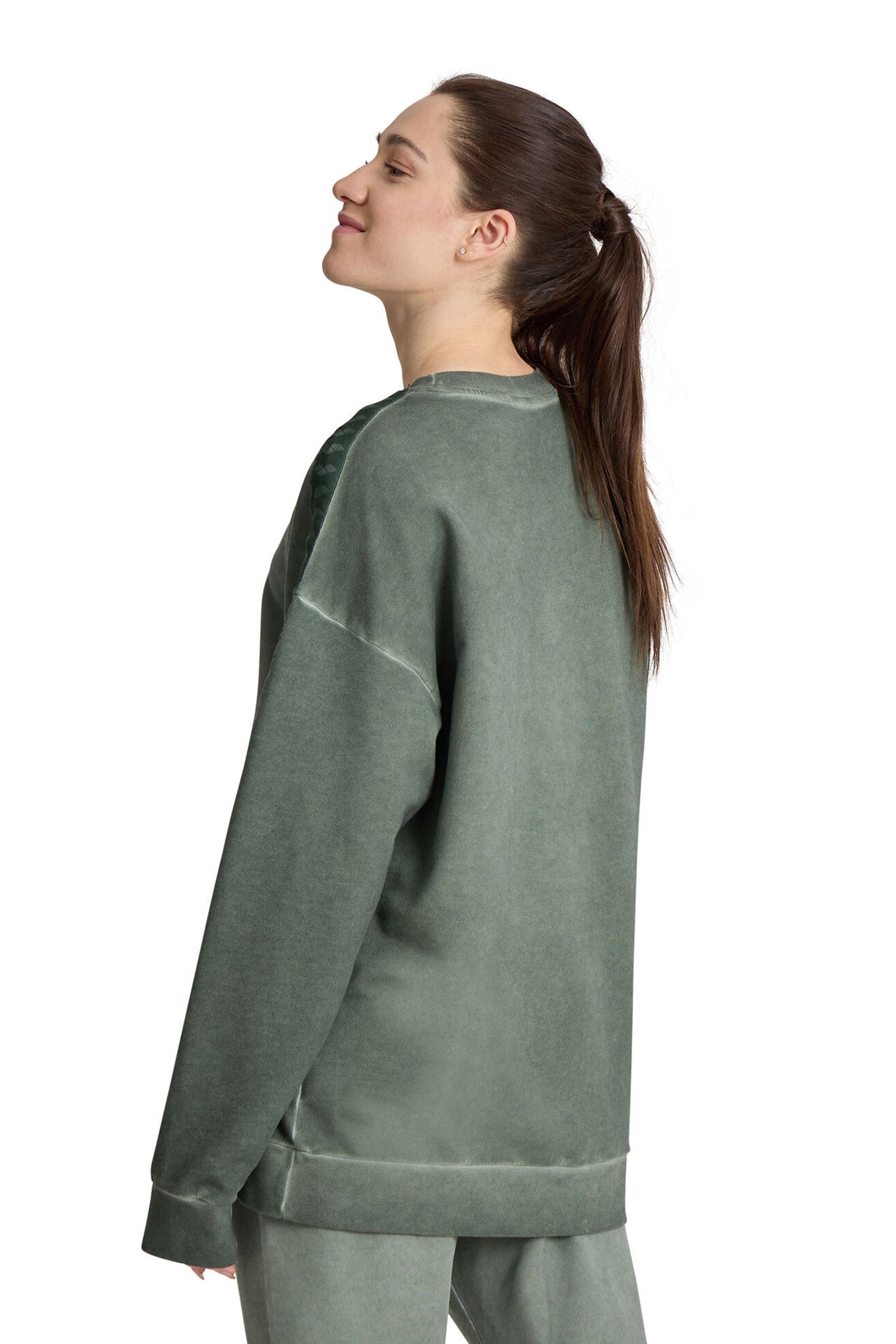 ARENA ICONS SWEAT OVERSIZE SAGE DELAVE 4