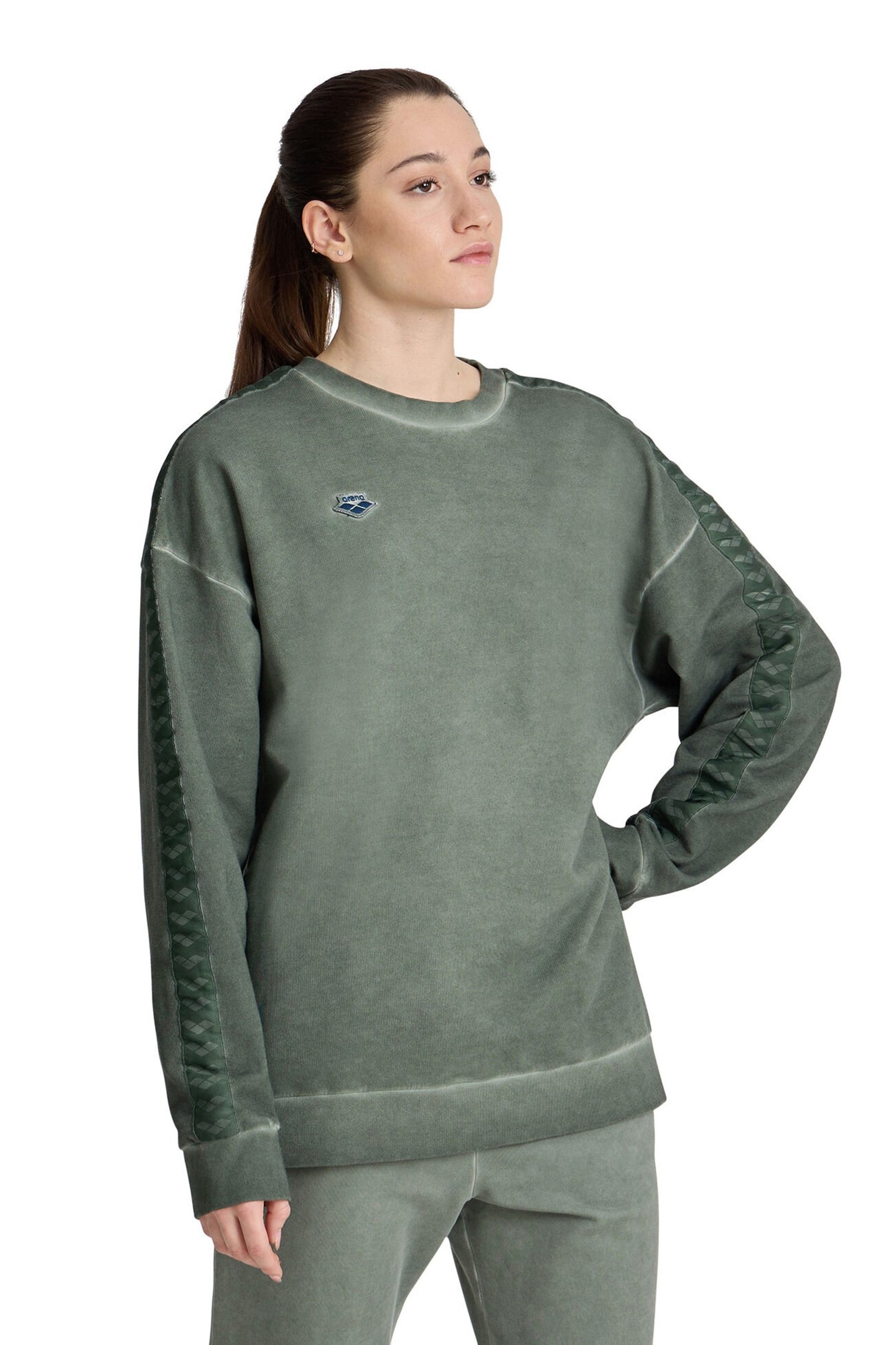 ARENA ICONS SWEAT OVERSIZE SAGE DELAVE 2