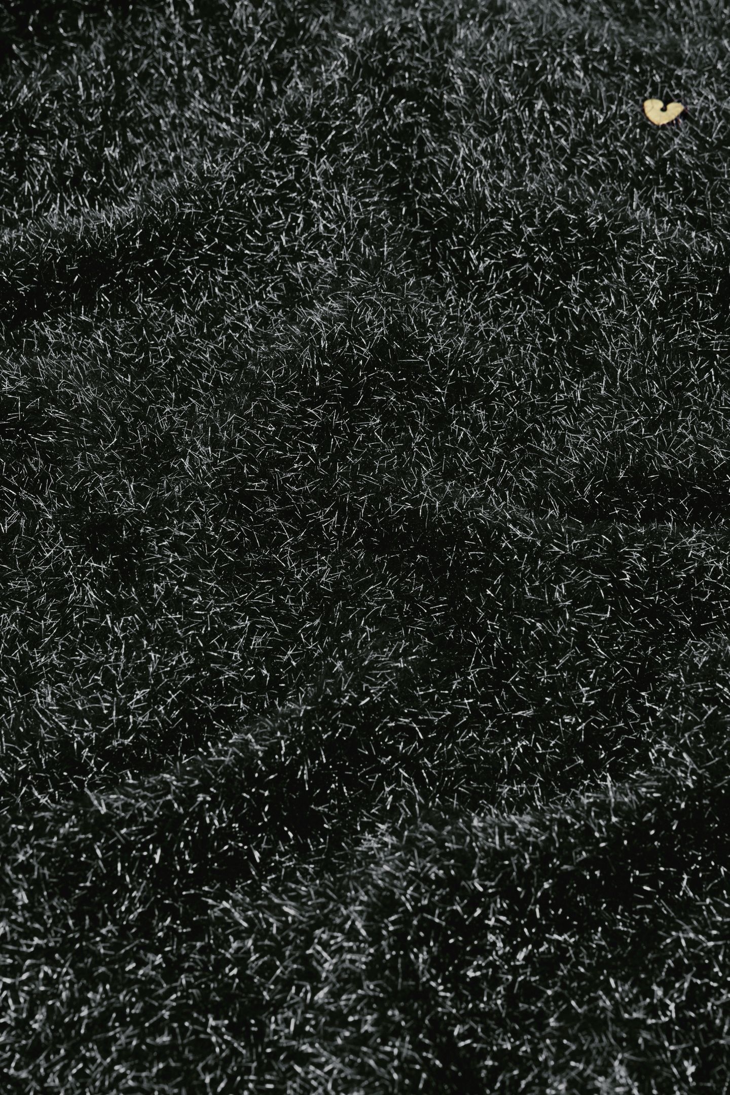 KIM CARDIGAN BLACK 5