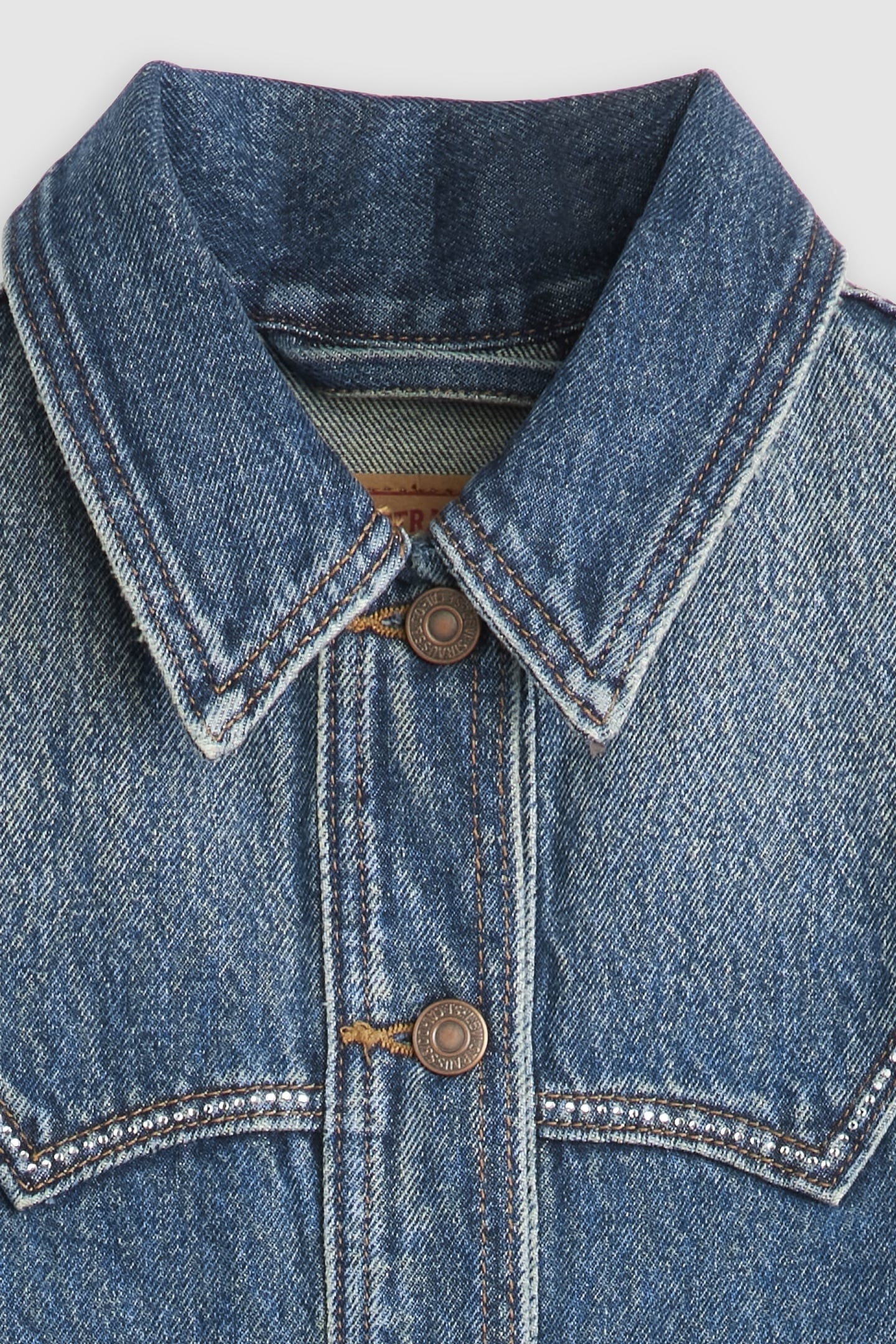 ORIGINAL TRUCKER BLING SHOW ON THE ROAD 6