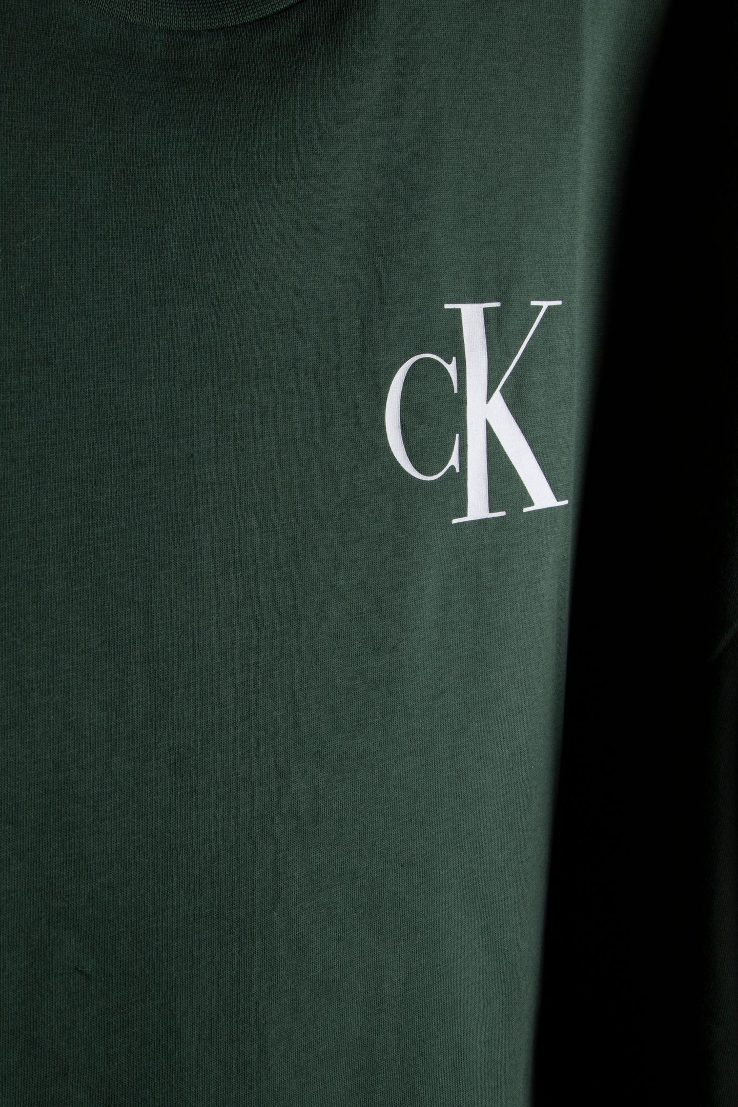 SS LEFT CHEST LOGO TEE SYCAMORE 4