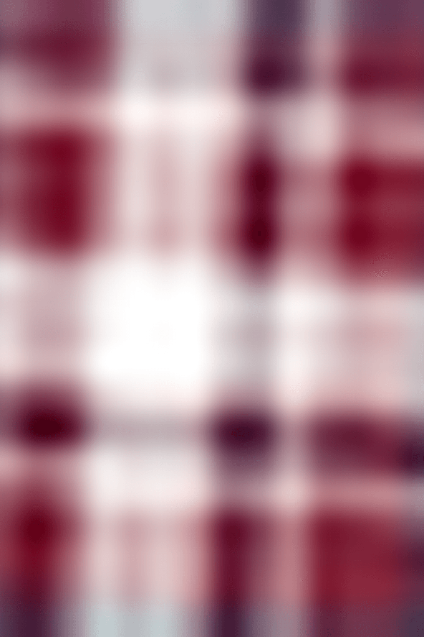 MORGAN SET Z BORDEAUX 5