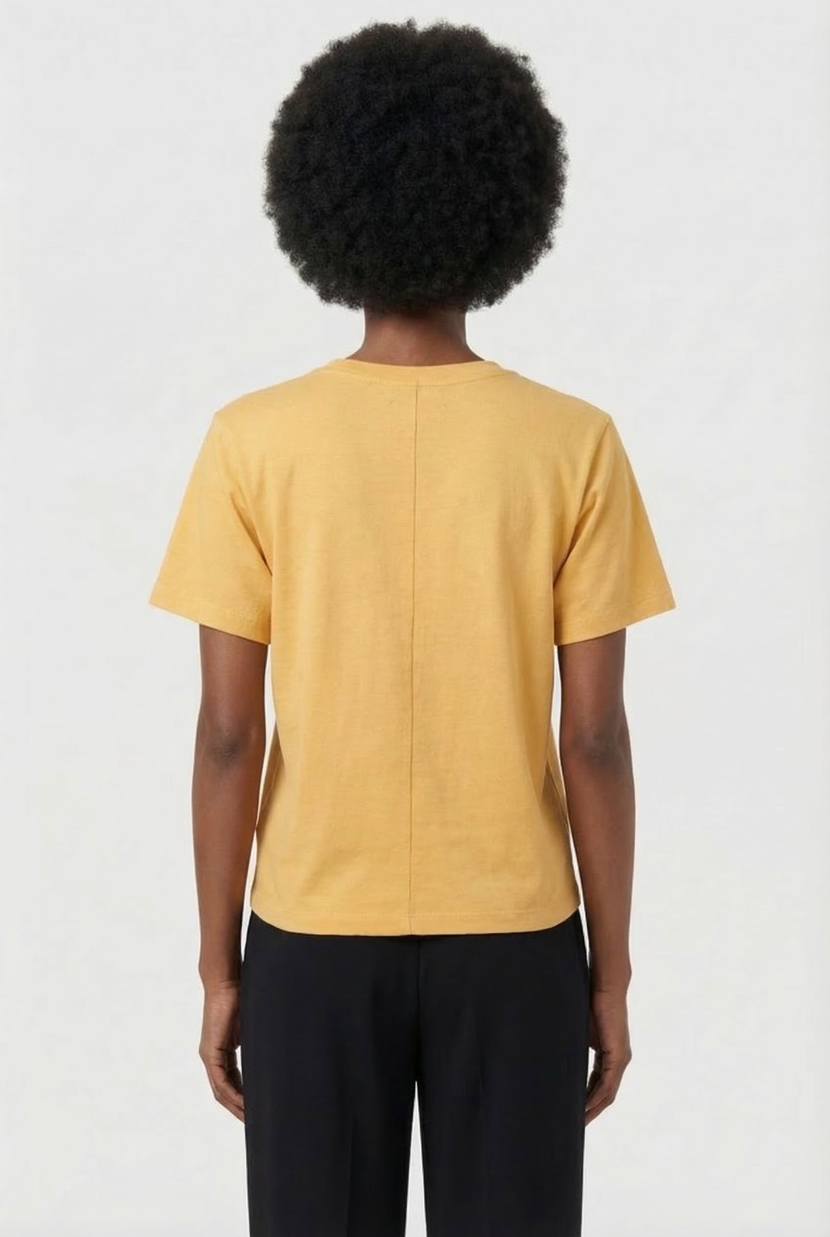 ZELITOS YELLOW 2