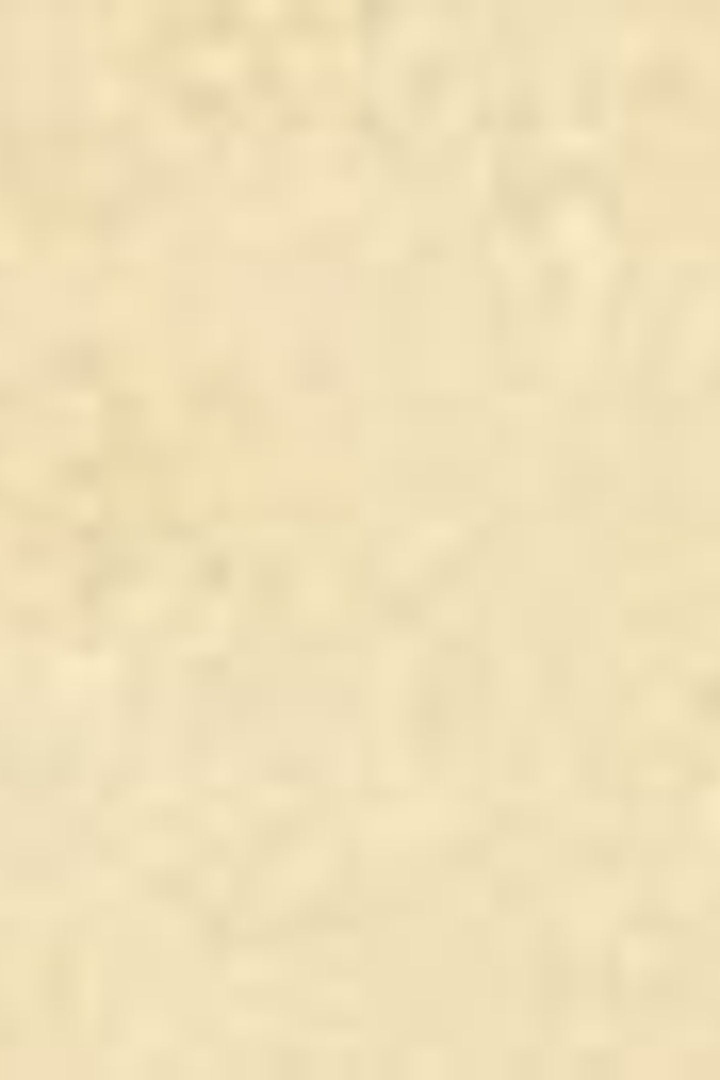 RED TAB VINTAGE TEE GARMENT DYE DOUBLE 6