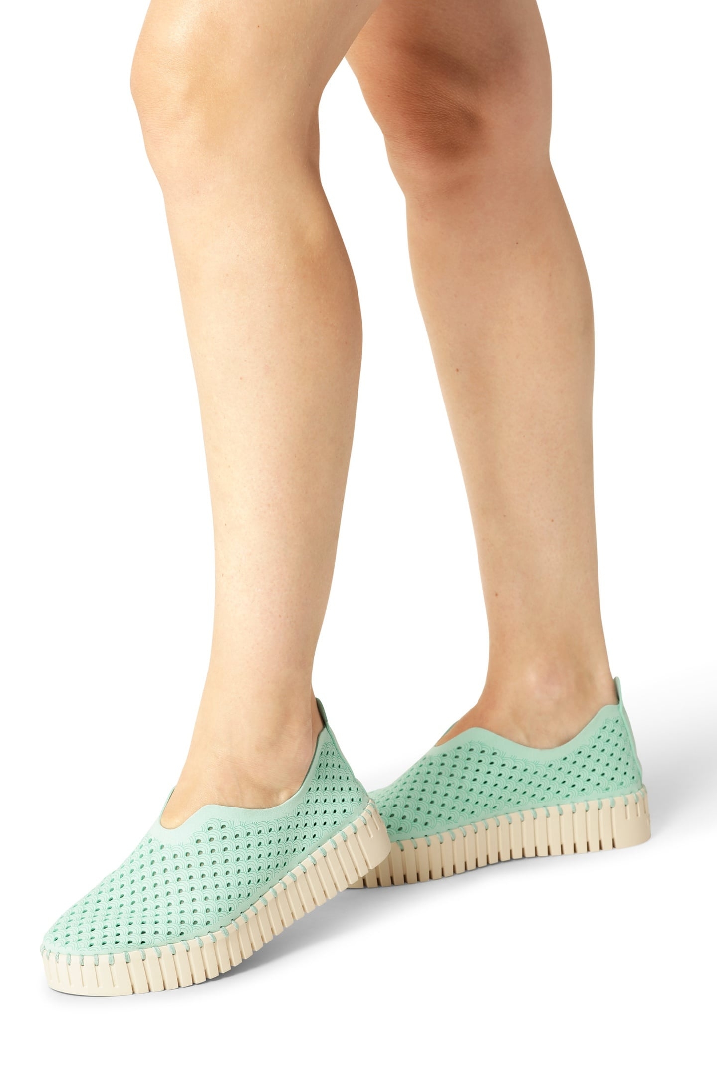 FLATS TULIP3373 YUCCA 1