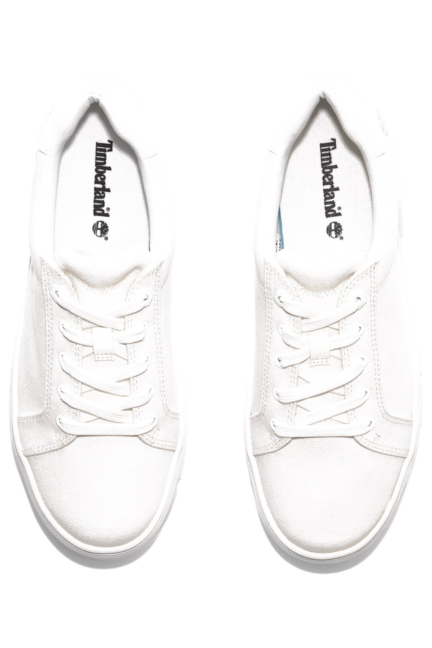 LAUREL COURT LOW LACE UP SNEAKER WHITE CANVAS 5