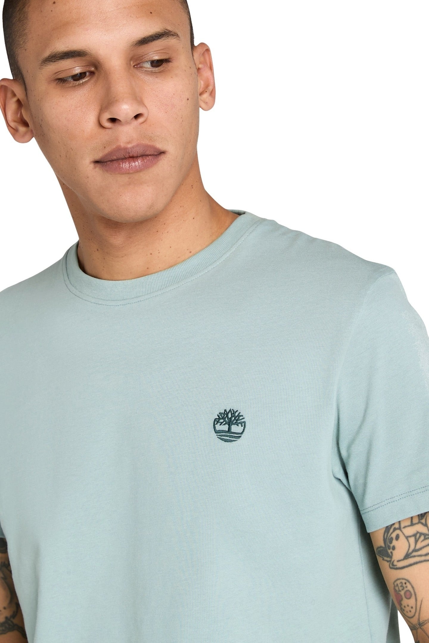 DUNSTAN RIVER SHORT SLEEVE TEE SILVER BLUE 5